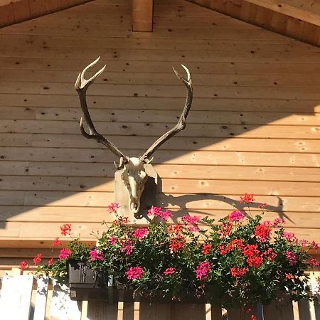 Alpenlodge Kirchbach Kirchbach  Kültér fotó
