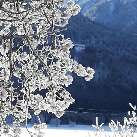 Alpenlodge Kirchbach Kirchbach  Kültér fotó