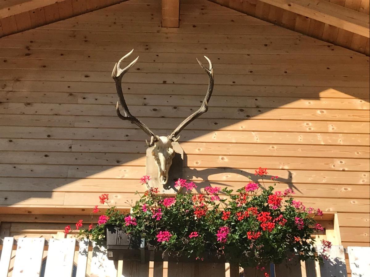 Alpenlodge Kirchbach Kirchbach  Kültér fotó