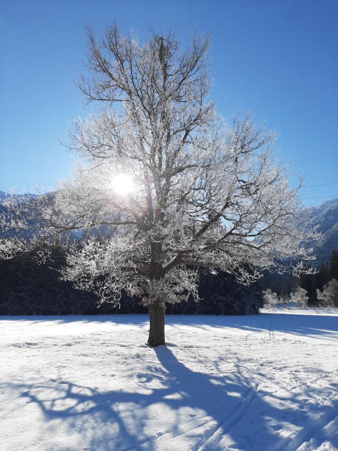 Alpenlodge Kirchbach Kirchbach  Kültér fotó