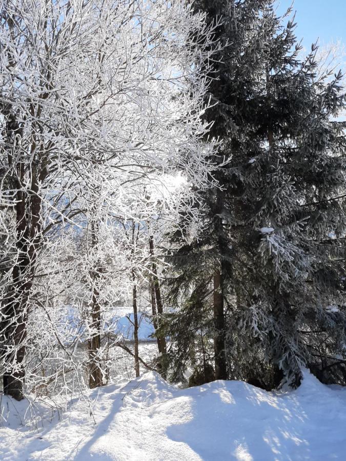 Alpenlodge Kirchbach Kirchbach  Kültér fotó