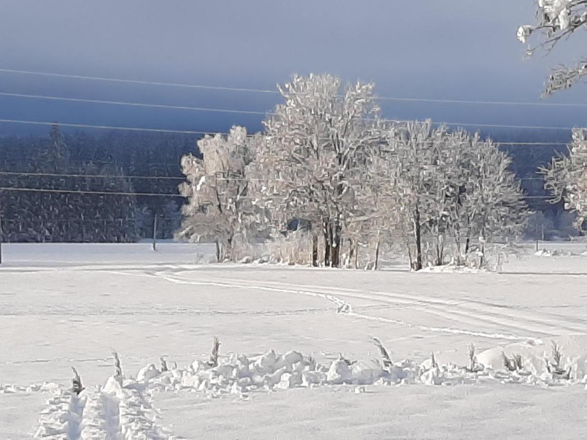 Alpenlodge Kirchbach Kirchbach  Kültér fotó