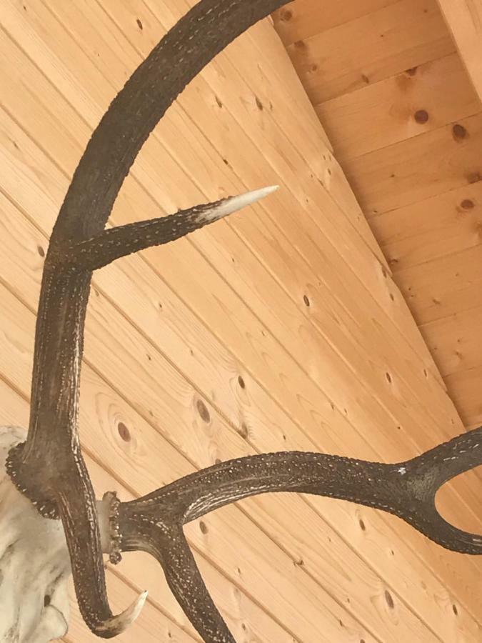 Alpenlodge Kirchbach Kirchbach  Kültér fotó